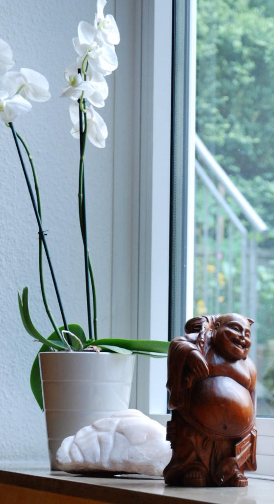 Qigong_Taichi_Yoga-Studio - Tao Institut - Dortmund, Raum-Fensterbank-Buddha+Orchidee