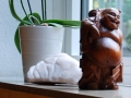 Qigong_Taichi_Yoga-Studio - Tao Institut - Dortmund, Raum-Fensterbank-Buddha+Orchidee